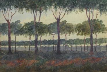 The Grove
